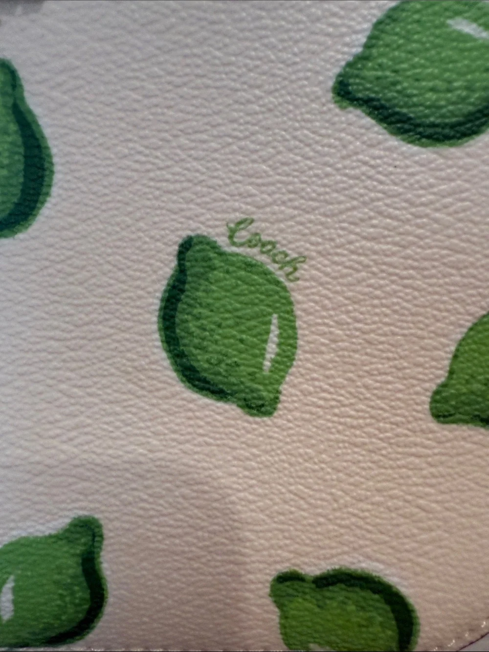 Coach Lime Print Crossbody Camera Bag White Leather Adjustable Strap NWOT